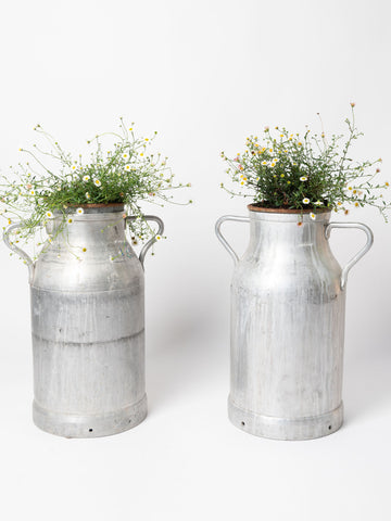 Vintage French Milk churns