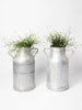 Vintage French Milk churns