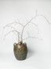 Antique French Walnut Oil pot with original green glaze