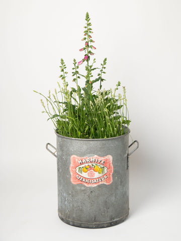 Gorgeous vintage galvanised planter tub