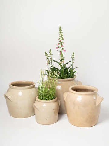 Collection Vintage French Burgundy Confit pots