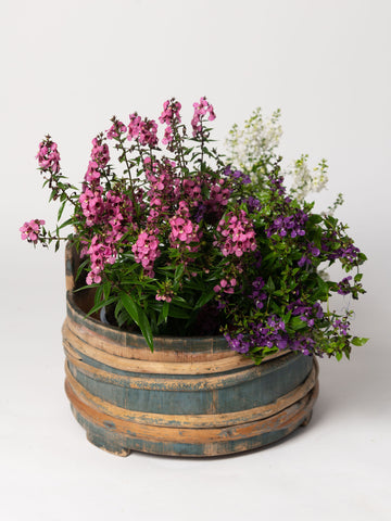 Antique Swedish Wooden milk tub with original paint