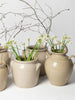 Collection Vintage French Confit and Cruche pots from the Digoin region
