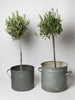 Vintage Hungarian galvanised bucket planters