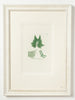 Antique Original Seaweed Hand Coloured Engraved prints by James Sowerby
