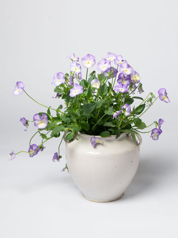 Antique 19th Century French white glaze confit pot
