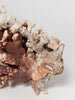 Antique Coral piece
