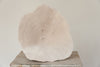 Beautiful Collection of Vintage "Elephant Ear Mushroom" Coral - Decorative Antiques UK - 4