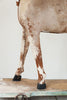 Stunning Antique French Decorative Toy Horse on Wheels - Decorative Antiques UK  - 4