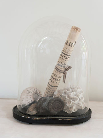 Vintage Display Dome with Edwardian collection of fossils and a newspaper dated 1921