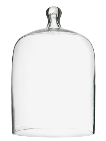 Glass bell cloche