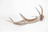 Pair Beautiful Deer/Stag Antlers