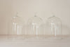 Collection Vintage Glass Cloches/Domes - Decorative Antiques UK - 3