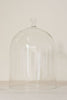 Collection Vintage Glass Cloches/Domes - Decorative Antiques UK - 1