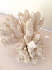 Vintage White Coral
