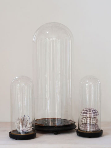 Antique French Display domes on wooden bases - Decorative Antiques UK - 1