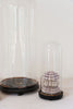 Antique French Display domes on wooden bases - Decorative Antiques UK - 2