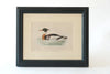 Collection Antique Duck Bookplates, mounted & framed