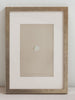 Antique 19th Century Egg prints, mounted and framed - Decorative Antiques UK  - 3