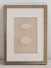 Antique 19th Century Egg prints, mounted and framed - Decorative Antiques UK  - 4