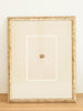 Antique 19th Century Bird Egg Bookplates, mounted and framed