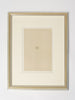 ANTIQUE 19TH CENTURY BIRD EGG BOOKPLATES, MOUNTED AND FRAMED