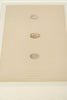 ANTIQUE 19TH CENTURY BIRD EGG BOOKPLATES, MOUNTED AND FRAMED
