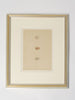 ANTIQUE 19TH CENTURY BIRD EGG BOOKPLATES, MOUNTED AND FRAMED