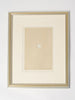 ANTIQUE 19TH CENTURY BIRD EGG BOOKPLATES, MOUNTED AND FRAMED