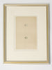 ANTIQUE 19TH CENTURY BIRD EGG BOOKPLATES, MOUNTED AND FRAMED