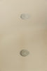 ANTIQUE 19TH CENTURY BIRD EGG BOOKPLATES, MOUNTED AND FRAMED