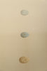 ANTIQUE 19TH CENTURY BIRD EGG BOOKPLATES, MOUNTED AND FRAMED