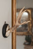 Collection of Antique Roe deer antlers mounted on circular shields - Decorative Antiques UK - 3