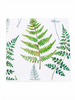 Klippan Fraken fern paper napkins