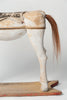 Antique 19th Century French Horse on base
