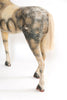 Antique French Wood and Papier Mache horse Fragment