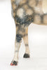 Antique French Wood and Papier Mache horse Fragment
