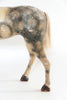 Antique French Wood and Papier Mache horse Fragment