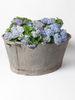 Vintage Belgian large galvanised bath/planter