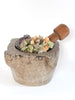 Antique 19th Century Italian Mortar and Pestle