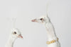 STUNNING RARE WHITE TAXIDERMY PEAHENS