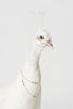 STUNNING RARE WHITE TAXIDERMY PEAHENS