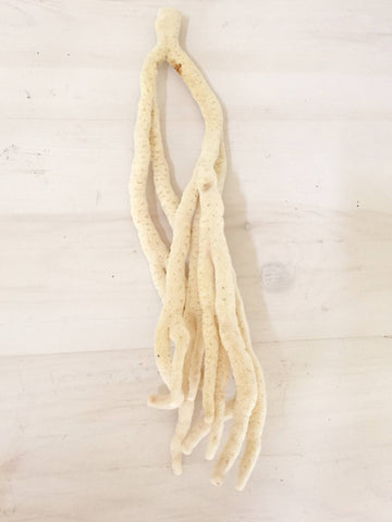 Beautiful Vintage Sea Sponge - Decorative Antiques UK  - 1