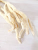 Beautiful Vintage Sea Sponge - Decorative Antiques UK  - 3
