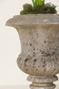 Beautiful 19th Century French Marble Urns - Decorative Antiques UK  - 5