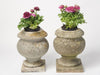 PAIR 19TH CENTURY FRENCH MARBLE URNS