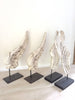 Decorative Plaster Wings on Steel stands
