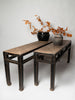 Antique Chinese elm benches with scroll feet