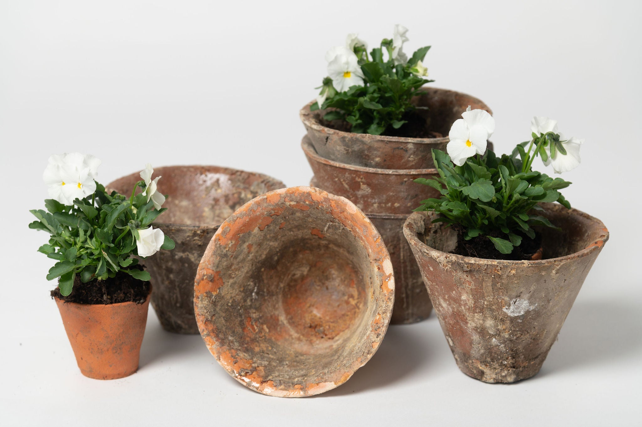 Antique French Pine Resin Terracotta pots