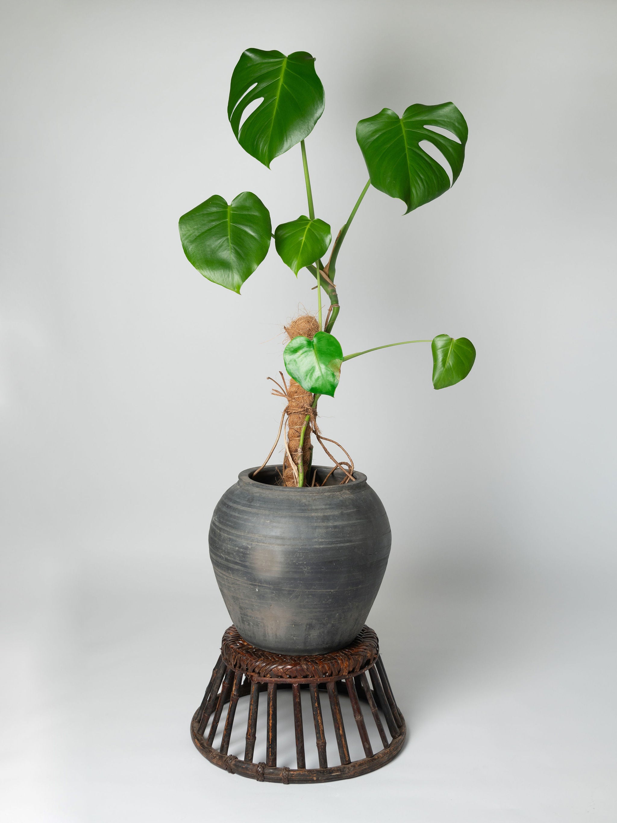 Pair antique chinese rattan and bamboo low stools